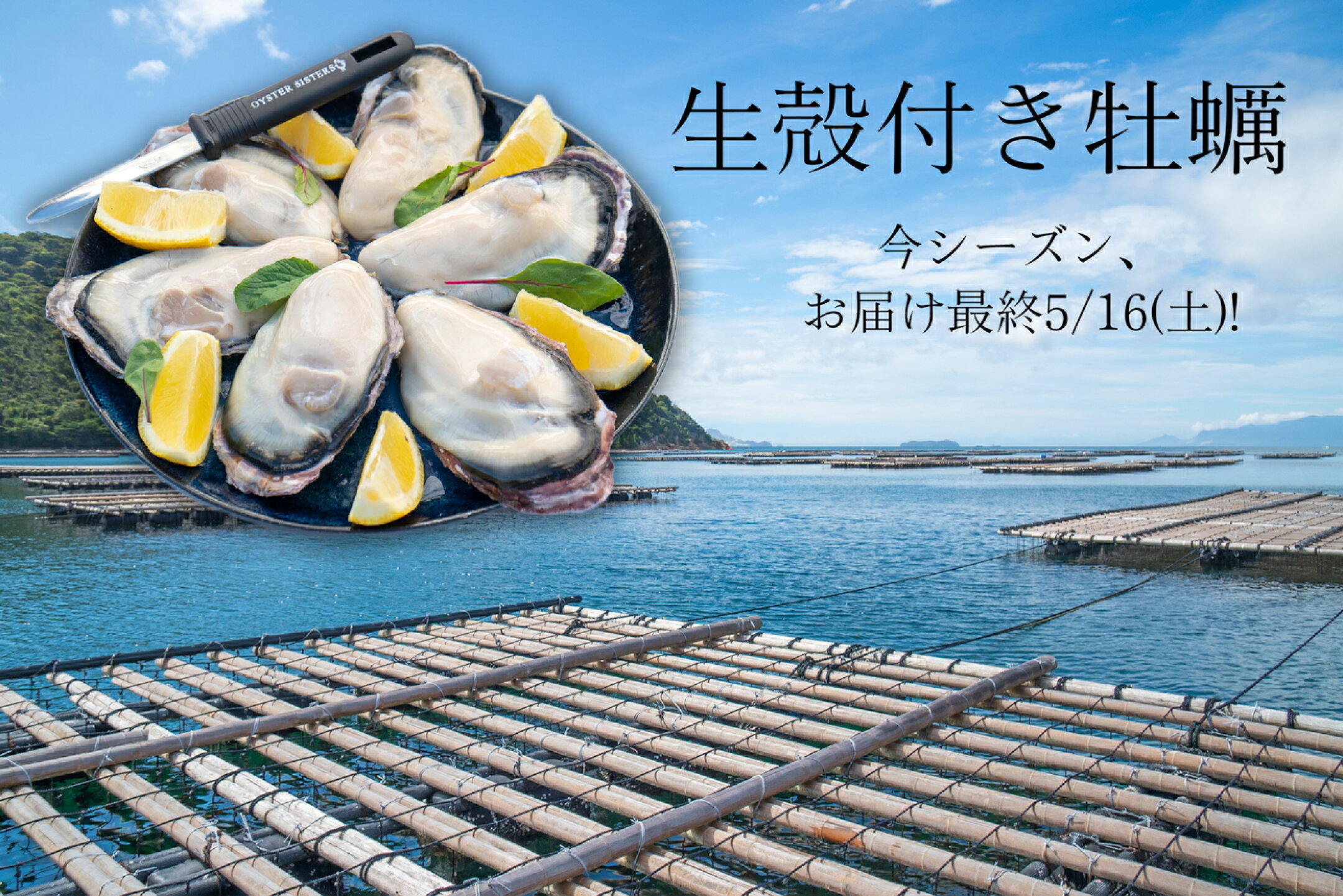 生殻付き牡蠣. 今期の販売開始日は未定です。お待たせして申し訳ございません。