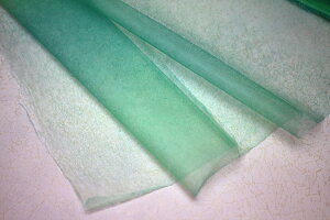 FT@XɔOf[V@Gh1808