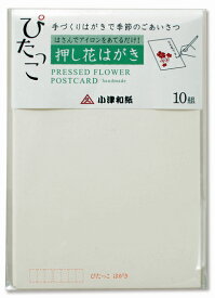 楽天市場 押し花 アイロンの通販