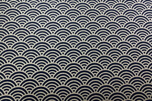 @BFT@nɋ̐Cg@@529black