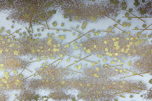 @BFT@nɐؔEсEq@6276