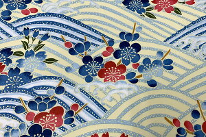 @BFT@CgɐԐ~炵@8620