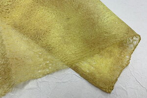 @ڂ߁@2025H02@ǂ̗t@ix[Ŵ񂾉Fj