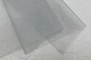 T@ڂ߁@2025H05@@i_炩O[j