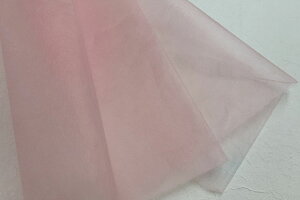 T@ڂ߁@2025t06@sN