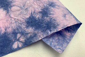 g@ݐߎ@2025Nt@02@sNƎ