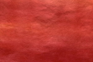 y@_͗l@2025N~09@ԃOf[V