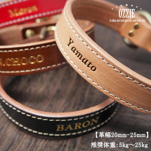    {v l[ qD   nhCh I[_[Ch IW[ OZZIE yv2.0cm-2.5cmz^ ^ ̏d5kg-25kg