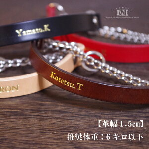 {kvxYEl[聚{vnhChn[t`[Ny1.5cmz^(̏d6Lȉ)