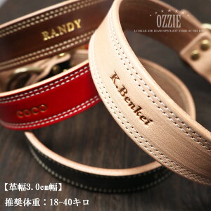    {v l[ qD   nhCh I[_[Ch IW[ OZZIE yv3.0cmz^-^(̏d18`40L)OZZIECRAFT
