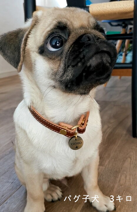 楽天市場】迷子札 チョーカー 犬 猫 名入れ☆本革 オーダーメイド 両面  