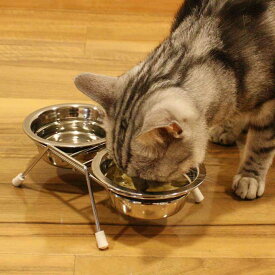 ドギーマンハヤシカタカタ鳴らないツインディッシュS
