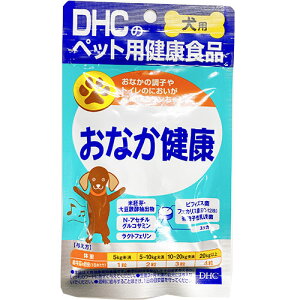 DHCȂN15gi1d250mgX60jy[OKz@pTvg