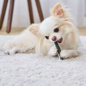 ペティオ犬用かんでるボーンデンタルSSハードタイプ【メール便OK】【レターパックプラスOK】