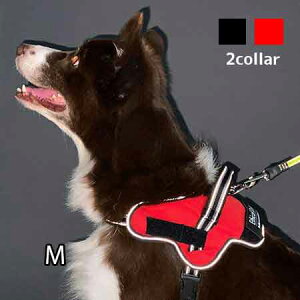 yeBIpփC[W[EFAn[lXMy^[pbNvXOKz