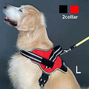 �y�e�B�I���p���փC�[�W�[�E�F�A�n�[�l�XL�y���^�[�p�b�N�v���XOK�z