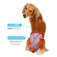 お取り寄せ第一衛材女の子用　マナーホルダーActive　LL【メール便OK】【レターパックプラスOK】ペット　…