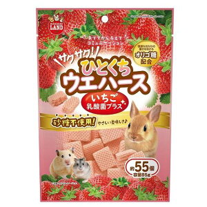 }JTNTNЂƂEGn[X_ۃvXy^[pbNvXOKz