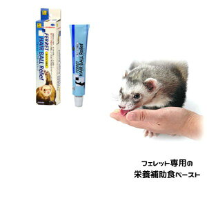 X[p[Z[OW tFbgEwA{[[tbtFbgpTvgy^[pbNvXOKz