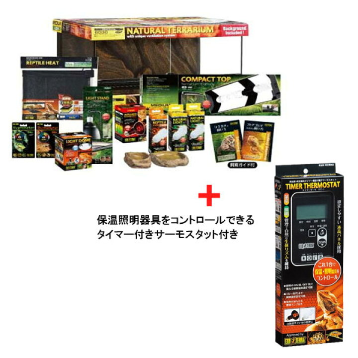 楽天市場】【フトアゴヒゲトカゲリクガメ飼育セット＋タイマ-付き 