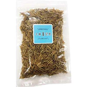 2025N1231эAJ~YAu50gy[OKzy^[pbNvXOKz