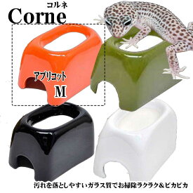 【お買い物マラソン】ゼンスイCorneコロネウェットシェルターコルネMアプリコット　爬虫類　シェルター