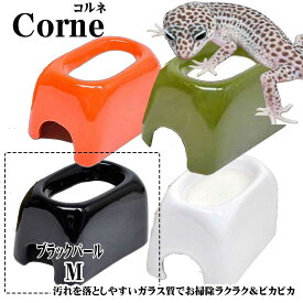 【お買い物マラソン】ゼンスイCorneコロネウェットシェルターコルネMブラックパール　爬虫類　シェルター