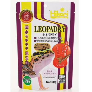 qEgJQ|L[IphC60gy[OKzy^[pbNvXOKz