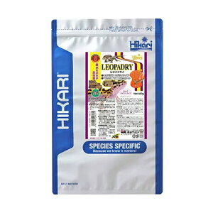 L[IphC500gy^[pbNvXOKz