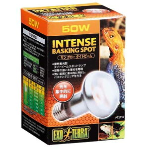 �W�F�b�N�X�T���O���[�^�C�g�r�[���o�X�L���N�X�|�b�g50W�y���^�[�p�b�N�v���XOK�z