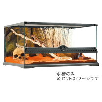 楽天市場】gex 6030の通販