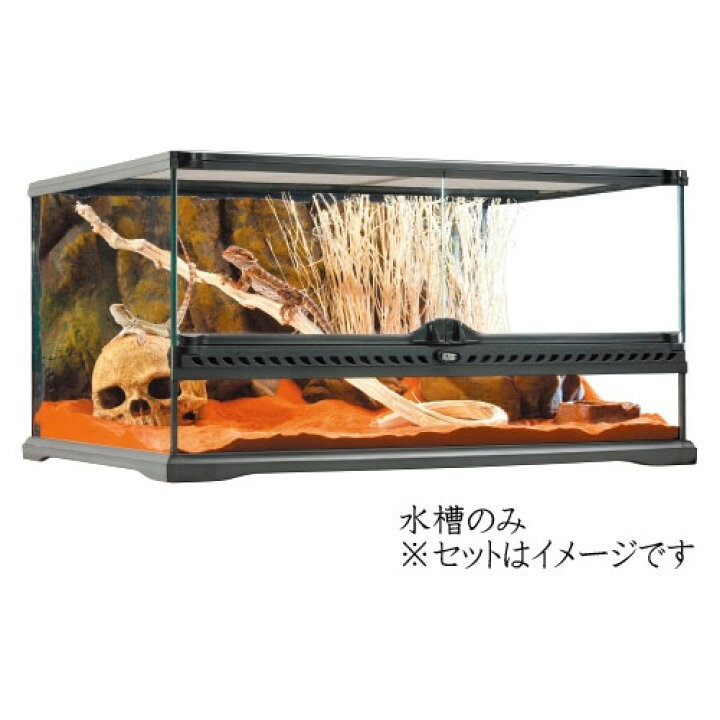 楽天市場】GEX グラステラリウム6030 PT2604｜爬虫類・両生類用ガラス 