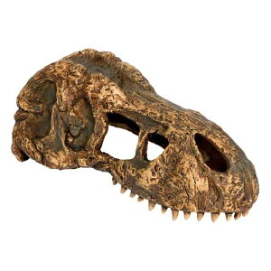 WFbNXT-REXXJS PT2860@tgAS NK  Zbg ۉ J Cg