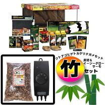 楽天市場】スターターセット（爬虫類・両生類｜ペット・ペットグッズ 