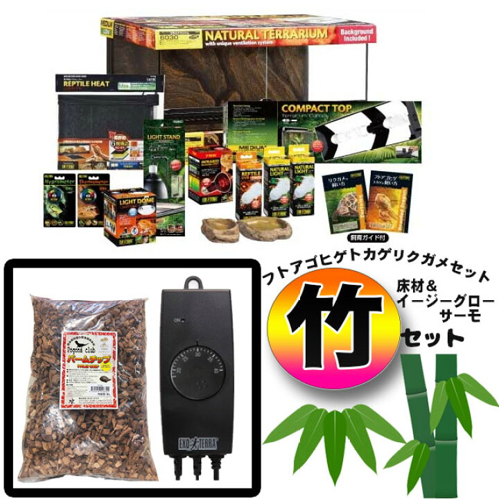 楽天市場】【フトアゴヒゲトカゲリクガメ 飼育セット竹】PRO初心者向け 