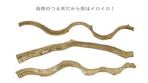 OWNO858XpCp[`L90@঒ށ@Ȃǂ