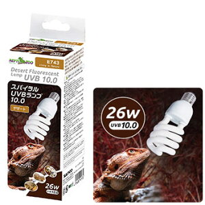 ȂȂ莟IIOWXpCUVBv10.0 26W@fU[g@E743y^[pbNvXOKz