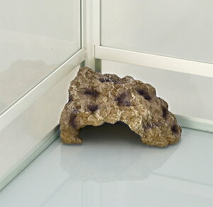 OWnChP[R[i[L@঒ރVF^[