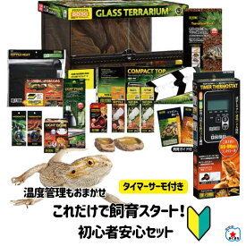 13時まで当日発送【フトアゴヒゲトカゲリクガメ飼育セット＋タイマ-付きサーモスタットセット】初心者向け｜ケージ・ライト・床材・温度計付き｜初めての爬虫類飼育に