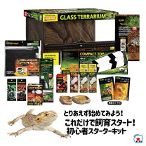 楽天市場】飼育セット（爬虫類・両生類｜ペット・ペットグッズ）の通販