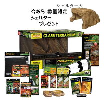 楽天市場】飼育セット（爬虫類・両生類｜ペット・ペットグッズ）の通販