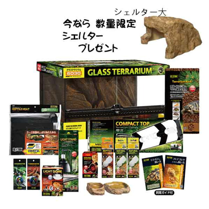 楽天市場】【初心者向け】フトアゴヒゲトカゲ＆リクガメ飼育セットA 