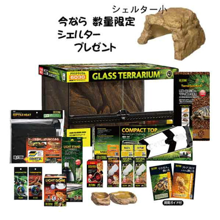 楽天市場】【フトアゴヒゲトカゲ リクガメ飼育Bセット（シェルター小の 