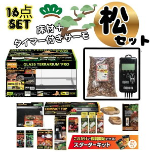 ytgASqQgJQ ZbgzSҌbP[WECgEށExvtb߂Ă঒ގ