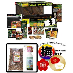 X[p[Z[ytgASqQgJQNK Zbg~zMVNKEw}NKbۉEOCgbL܃`bvKCht