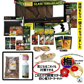 4972547044662-ume_19.jpg?fitin 