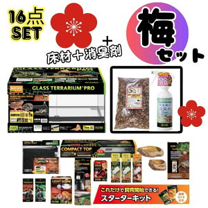 12��22���`23���������y�t�g�A�S�q�Q�g�J�Q���N�K�� ����Z�b�g�~�z�M���V�����N�K���E�w���}�����N�K���b�ۉ��E���O�����C�g�����b���L�܃`�b�v�������K�C�h�t��