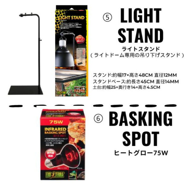 楽天市場】【初心者向け】フトアゴヒゲトカゲ＆リクガメ飼育セットA 