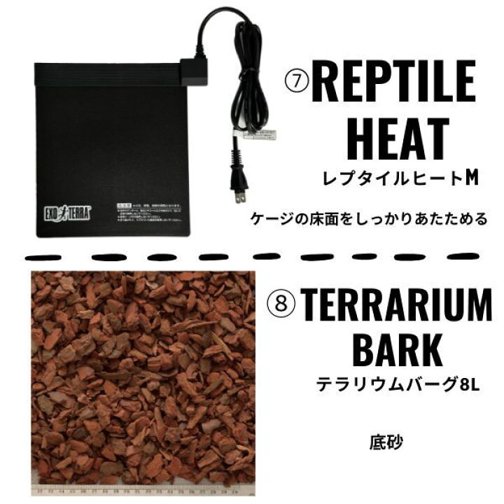 楽天市場】【フトアゴヒゲトカゲ リクガメ飼育Bセット（シェルター小の 
