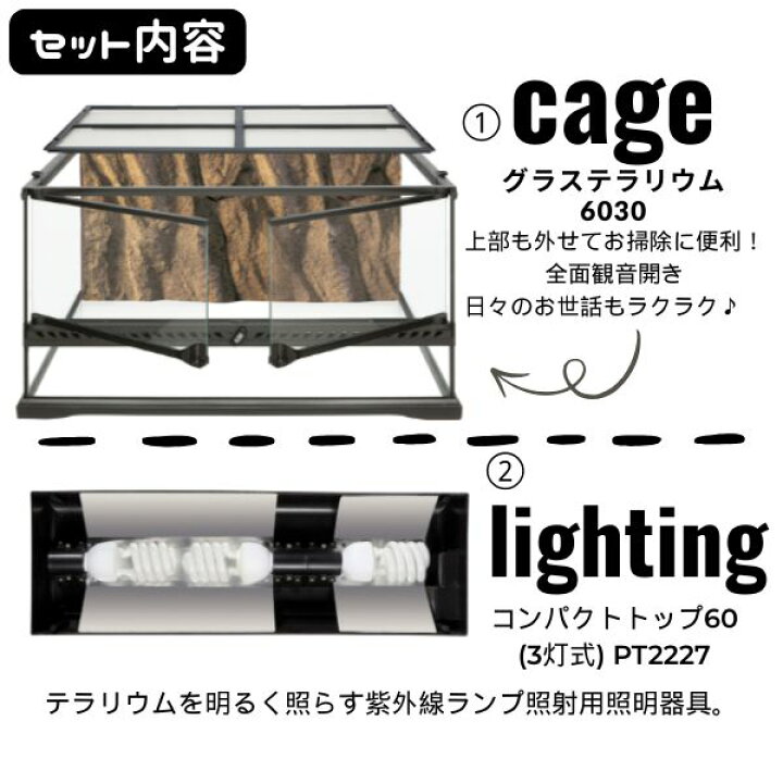 楽天市場】【フトアゴヒゲトカゲリクガメ飼育セット＋タイマ-付き 